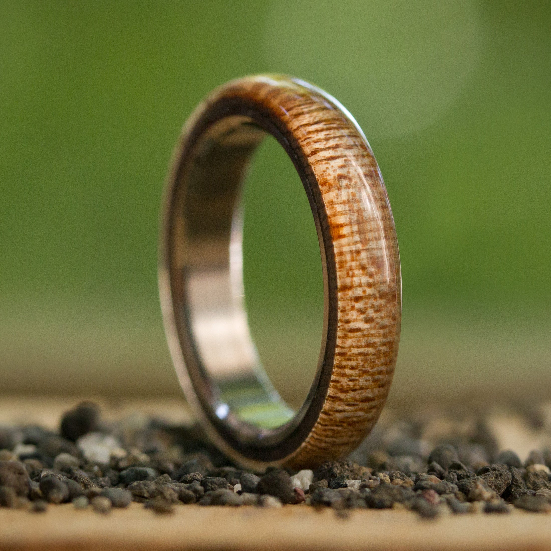 Polished wood and titanium women ring